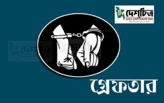 deshchitro-66fd40dcb4c11-021024064724.webp