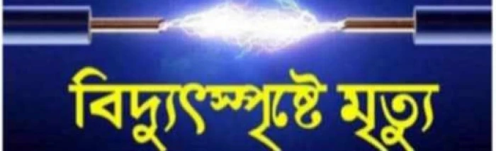 deshchitro-66fdf8be5aaff-031024075158.webp