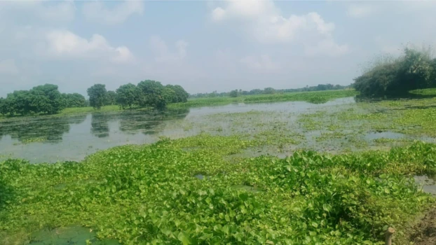 deshchitro-670670c0c3145-091024060208.webp