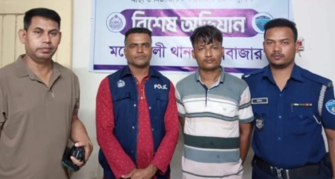 deshchitro-6725f28973d44-021124033609.webp