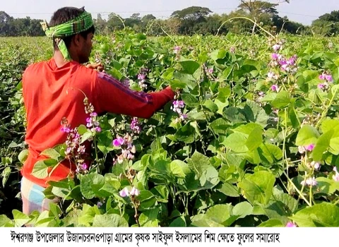 deshchitro-672895858063f-041124033605.webp