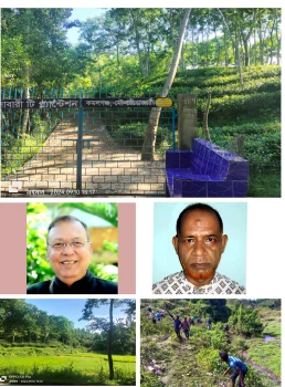 deshchitro-6729f7af99ed7-051124044711.webp