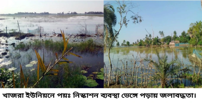 deshchitro-672f6dc931ac9-091124081225.webp
