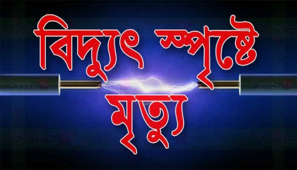 deshchitro-6730cf61017d2-101124092105.webp
