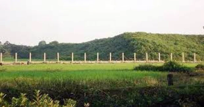 deshchitro-6737230e19c42-151124043142.webp