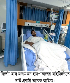 deshchitro-6738608a44dc8-161124030618.webp