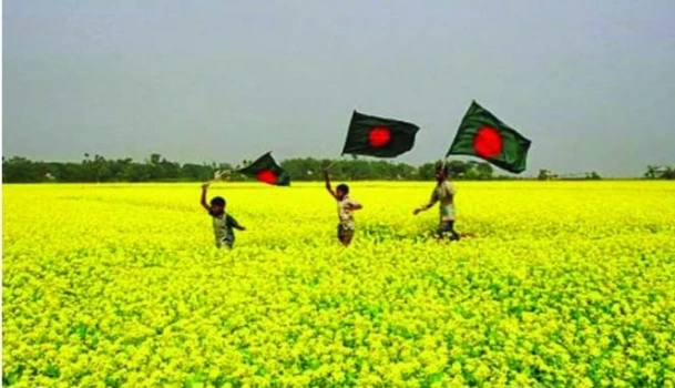 deshchitro-674cb54d7fe99-021224011317.webp