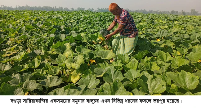 deshchitro-6750511c940a6-041224065452.webp