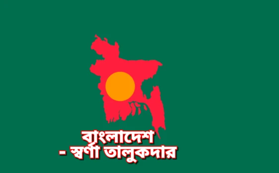 deshchitro-67509cffa41f8-051224121839.webp