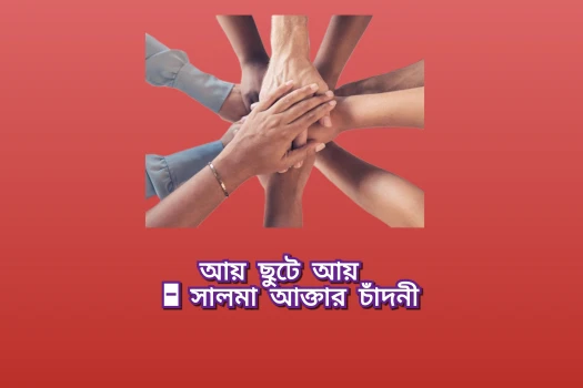 deshchitro-67509d8c298de-051224122100.webp