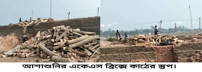 deshchitro-6778e9ea92738-040125015730.webp