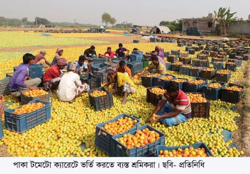 deshchitro-6792121c9ba71-230125035540.webp