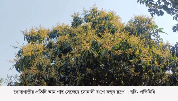 deshchitro-67ab0582694ee-110225020834.webp