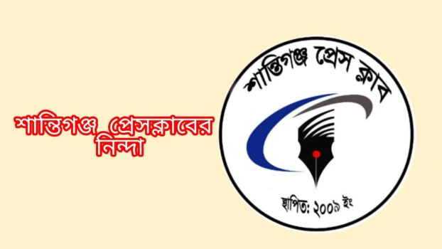 deshchitro-67c298584f707-010325111712.webp