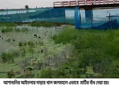 deshchitro-67dc1440b9531-200325071232.webp