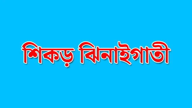 deshchitro-67e6d5e06f8cc-280325110120.webp