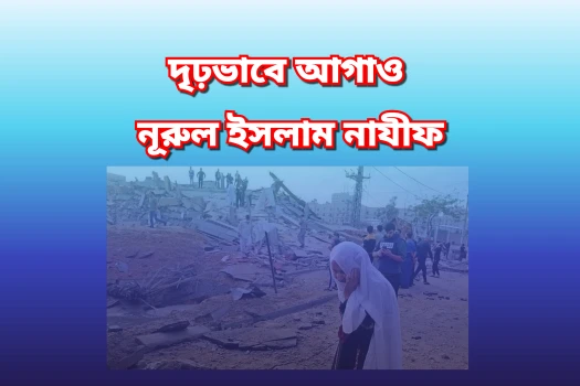 deshchitro-67f6a52acf934-090425104946.webp