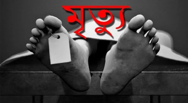 deshchitro-67fd36b813bd3-140425102424.webp