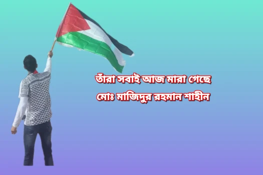 deshchitro-67fd6af8b81cc-150425020720.webp