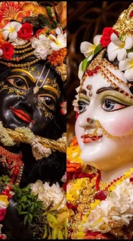 deshchitro-6811f248a75ae-300425035000.webp