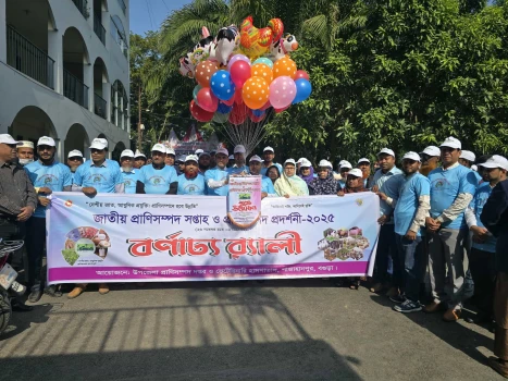 deshchitro-6926c7fc774e6-261125032724.webp