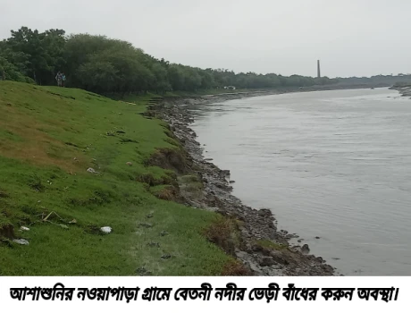 deshchitro-6a5a351a9cfab-170726075850.webp