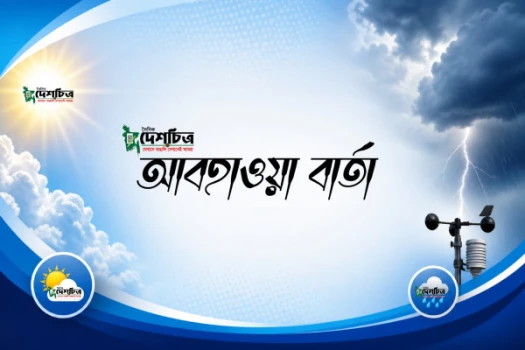 deshchitro-6a78e0324ad05-100826021650.webp