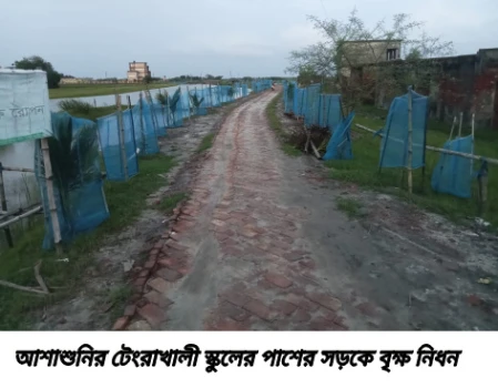 deshchitro-6ab67cf6e6333-250926075358.webp