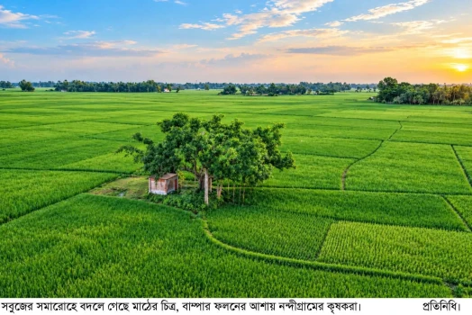 deshchitro-6abcb4671d917-300926010407.webp