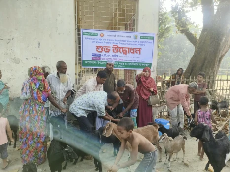 deshchitro-6abe0b48764ef-011026012704.webp